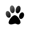 Captcha image 1846